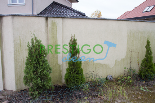 mycie-czyszczenie-elewacji-budynku-ogrodzenia-z-mchu-zielonego-porostu-czarnego-zabrudzenia-Wrocław